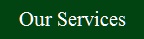 Our Services